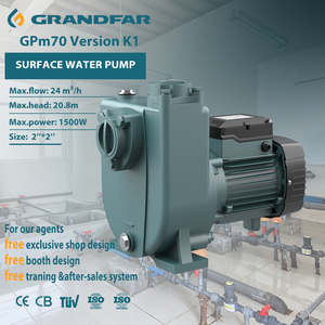 Bomba de Superficie Grandfar 1.5KW 2HP 21M3/H OEM, Multifunción, Automática, Centrífuga, GPM70 Versión K1, Alta Presión - Product Image 1