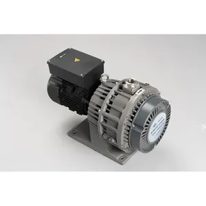 50 Or 60hz 4.3 Or 5.1l/s GWSP300 CE EAC ISO Certificated Vortex Pump Dry Vacuum Pump Without Oil