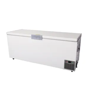 -40 -20度垂直超低检测实验室胸部冰柜温度冷冻减去冰柜