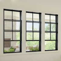 Fenêtre suspendue américaine à double vitrage Low-E en aluminium, isolée thermiquement, certifiée NFRC, sur mesure Foshan
