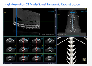 Sistema Radiografico Veterinario CBCT Compatibile con DR Dinamico per Operazioni su Cani e Animali Domestici, Soluzione Diagnostica - Product Image 6