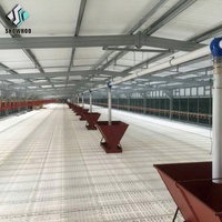 Nave Avícola Prefabricada de Acero de Alta Calidad y Bajo Costo, Diseño de Gallinero, Establos para Pollos