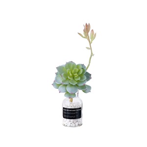 Plante succulente artificielle CallaFloral, branche unique en PVC souple, rouge automnal, blanc, vert frais, décoration de mariage INS - Product Image 5