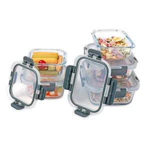 Bento Lunch Box Easying Carrying Glass Tritan Food Container Kids Rectangle Food Bento Lunch Box With Locking Lid