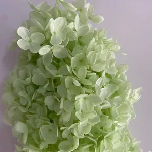 วัสดุ DIY ดอกไฮเดรนเยียอันนาสดชื่นแบบคงสภาพพร้อมกิ่ง - Product Image 3