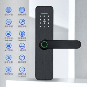 <b>Smart</b> <b>Lock</b> Fingerprint Password Zinc Alloy Door <b>Lock</b> With App Control For Home Security - Product Image 4