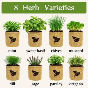 <span class=keywords><strong>Kit</strong></span> de Bonsái de Interior Ecológico de Diseño Moderno y Lujoso, con Fibra Vegetal, Manualidades de Jardinería para Principiantes y Adultos - Product Image 3