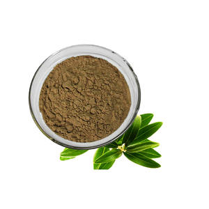 Fábrica Fornecimento <span class=keywords><strong>Olive</strong></span> Folha <span class=keywords><strong>Extract</strong></span> Oleuropein 40% <span class=keywords><strong>Olive</strong></span> Folha <span class=keywords><strong>Extract</strong></span> Pó - Product Image 1