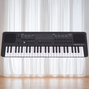 <span class=keywords><strong>Mini</strong></span> teclado de Piano Digital portátil de 49 teclas Órgano electrónico de plástico negro 300 Sonidos incorporados Altavoces incorporados AUX Tipo-C - Product Image 1