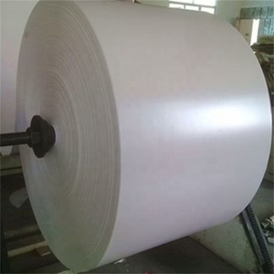 Professional C2S Coated Art <b>Paper</b> <b>Glossy</b> for Offset and Digital Printing - Product Image 6