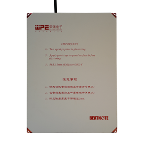 Đẹp và hào phóng trong tường vô hình Loa treo tường trần 40 Wát loa cho Auditorium kim loại SONOS loa 80 Wát CN; gua - Product Image 3