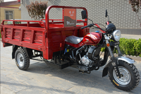 Motos à Essence Durables à 3 Roues 150CC 200CC 250CC pour Fret Docker Tricycle Moto