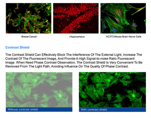 Microscópio Invertido <span class=keywords><strong>Binocular</strong></span> LED Fluorescente OPTO-EDU A16.1064 - Product Image 4