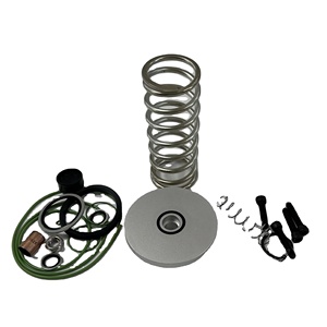 Pièces de compresseur industriel Manny 2901021101 Kit de soupape de décharge - Product Image 5