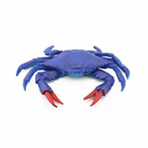 Juguete de Habilidad Mágica de TPR con Modelo de Animal Marino que Brilla en la Oscuridad y Cambia de Color con la Temperatura, Regalo Educativo para Niños - Product Image 3