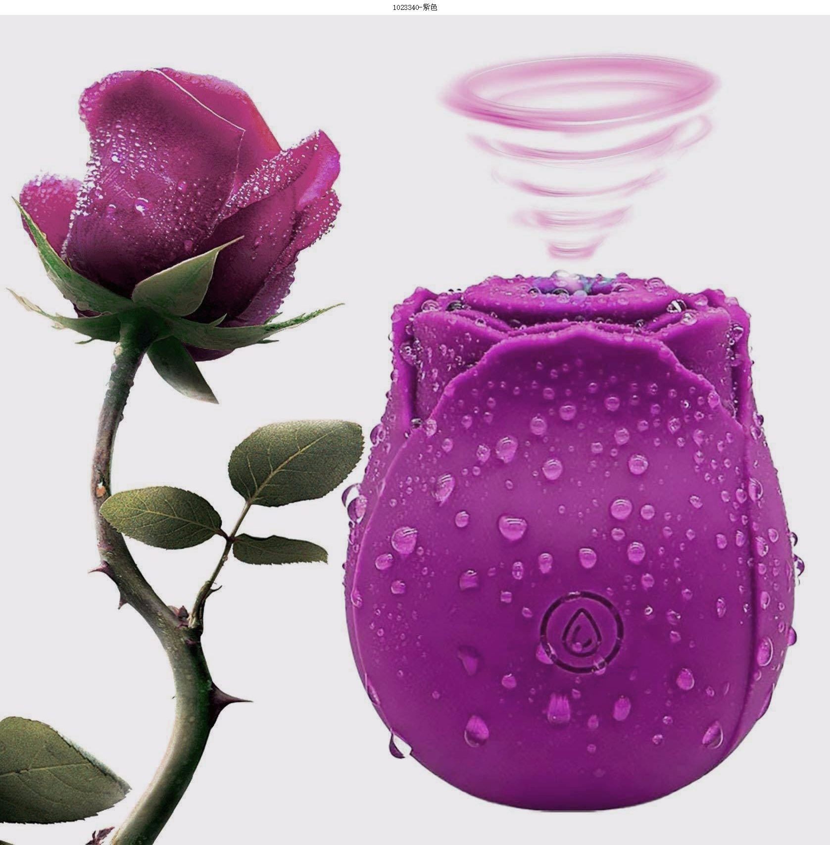 YM076-Purple