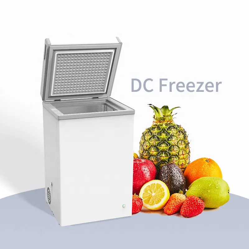 Freezer 60L pintu tunggal tenaga surya kulkas dada dalam freezer untuk penggunaan rumah