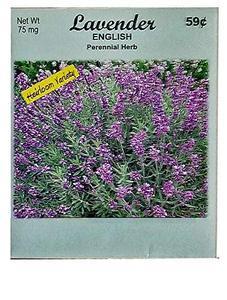 Paquete de 50 Semillas de <span class=keywords><strong>Lavanda</strong></span> a Granel para Jardinería, Decoración de Jardín u Hogar - Product Image 2