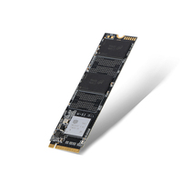 SSD NVME M.2 128GB 250GB 500GB 1TB 2TB NVMe PCIe Solid State Drive Hard Disk M.2 2280 Internal SSD untuk Desktop Laptop