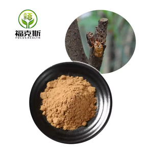 Bulk Pure Natural Getrocknetes Chan Tui Periostracum Cicadae PE. <span class=keywords><strong>Cicada</strong></span> Slough Extract Pulver - Product Image 4