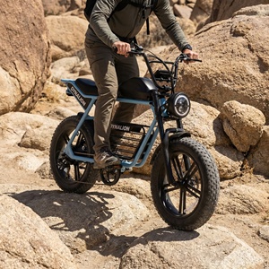 Vélo électrique tout-terrain à pneus larges de 20 pouces, prêt pour la piste désertique, avec suspension avant, idéal pour la conduite sur routes poussièreuses et terrains secs. - Product Image 2