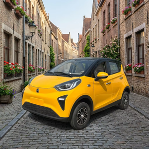 Nuevo Vehículo Eléctrico Cerrado <span class=keywords><strong>de</strong></span> Baja Velocidad, Mini Coche Eléctrico <span class=keywords><strong>de</strong></span> 4000W, Vehículo Eléctrico <span class=keywords><strong>de</strong></span> Cuatro Ruedas <span class=keywords><strong>para</strong></span> Personas Mayores - Product Image 1