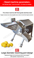 Fruit- en groentesnijmachine voor gesneden aardappelen, bamboescheuten, champignons, wortelen, knoflook en chilipepers. Aardappel snijproductielijn.