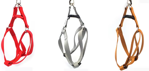 Op Maat Gemaakte Pet Kraag Gewoon Duurzaam Verstelbare Effen Nylon Webbing Fabrikant Hond Ketting Huisdier Kat Halsband