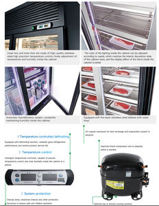 Refrigerador <span class=keywords><strong>de</strong></span> congelador <span class=keywords><strong>de</strong></span> alcance vertical comercial Refrigerador <span class=keywords><strong>de</strong></span> cocina <span class=keywords><strong>de</strong></span> Hotel <span class=keywords><strong>general</strong></span> - Product Image 3