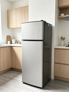 Mini Refrigerador Compacto de 53L con <span class=keywords><strong>Congelador</strong></span> Superior BCD-53A, Doble Puerta, Descongelación Manual, Plástico Plateado, Ahorro de Energía, Refrigerante R600a - Product Image 4
