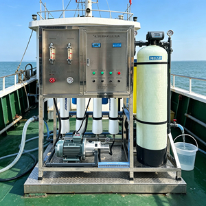 Planta Desalinizadora de Agua de Mar de 500 L/H, Anticorrosiva 316, para Tratamiento de Agua Salada Subterránea en Islas - Product Image 1