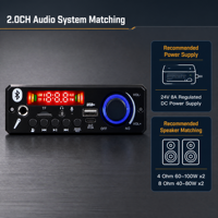 Reproductor de MP3 con Decodificador, Placa Amplificadora de 2x100w, Sistema de Audio para el Hogar, para Ensamblaje de Altavoces, Mayorista de Audio para Fábricas