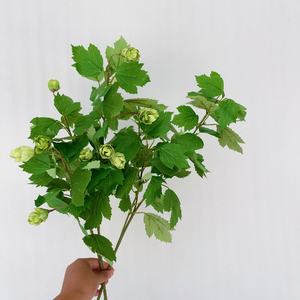 Ventes en gros de branches de lierre artificielles en soie avec baies, plantes vertes pour la décoration de bars et de pubs - Product Image 5