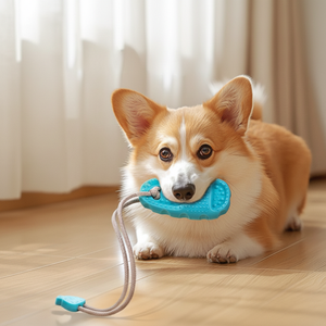 Juguete de succión para mascotas, zapatillas masticables, resistente a mordidas y consumibles, cuerda de resistencia, juguetes resistentes al desgaste para cachorros, suministros para mascotas - Product Image 1