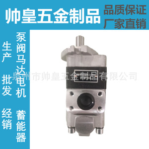 Pompe à engrenages hydraulique Changyuan CBHYGK-G25F3.5-AT à montage sur bride, entraînement par moteur, à débit fixe - Product Image 2