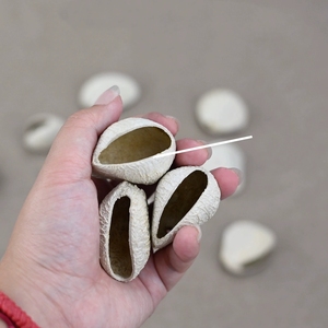 Wholesale Natural Dried White Fruit Shell Hollow Shell For Handcraft DIY And <b>Wind</b> <b>Chimes</b> - Product Image 3
