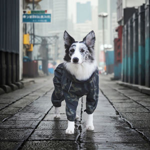 Chubasquero Fishprincess de estilo moderno para perros de gran tamaño, ropa de Primavera de camuflaje de poliéster a prueba de agua de alta calidad para perros - Product Image 2