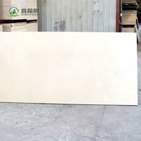 Contrachapado Comercial Yangmu Core con Acabado de Chapa de Madera Natural, Tablero Okuman Especialmente Diseñado para el Mercado del Mueble