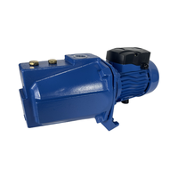 Pompe à jet auto-amorçante monophasée en fonte 1 CV à haute pression, nouveau design, pour eau propre et potable - Vente chaude