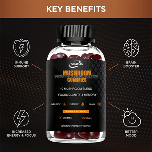 OEM ODM Vegan Cordyceps Reishi leoni criniera Chaga miscela di funghi commestibili Gummies integratore cerebrale - Product Image 2