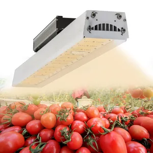 Best Full Spectrum Greenhouse Hydroponics Grow Systems 1000w Led Grow Light