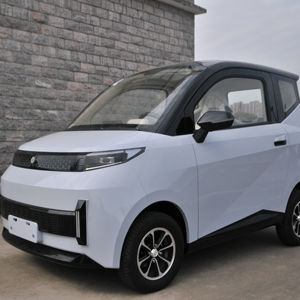 Mini Auto Eléctrico de Dos Plazas Gelik G63, Vehículo de Tres Ruedas y 2 Puertas con Batería de Litio para Adultos - Volante a la Izquierda - Product Image 1