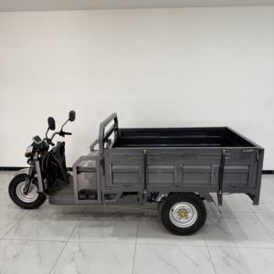 Vélo électrique à 3 roues, tricycle électrique pour adultes, tricycle pour passagers de camping-car avec homologation EEC - Product Image 5