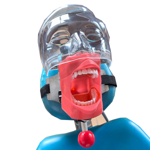 Typodont <strong>Dental</strong> <strong>Simulator</strong> Anatomical Model Simple Head Teeth Dentist Students Dentistry Training <strong>Unit</strong> - Product Image 1