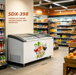 Congelatore Solare DC 12V 24V per Carne, Congelatore a Pozzetto 2025 per Casa e Supermercato, Vendita Calda per Esterni - Product Image 4