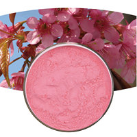 Échantillon gratuit ISO 100% naturel biologique Extrait de poudre de fleur de cerisier orientale Sakura 10:1 Cosmétiques Soluble dans l'eau en vrac et sur mesure