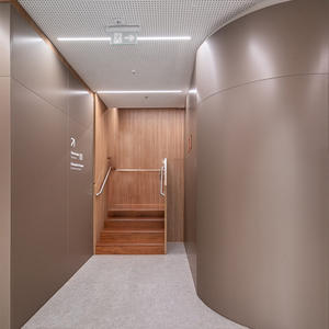 Panneau mural personnalisé de qualité supérieure, ignifuge, propre, panneau de glace, panneau ignifuge, panneau en oxyde de magnésium, panneau en silicate de calcium, grain de bois - Product Image 6