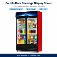 Réfrigérateur Vitrine Commercial Monotempérature Certifié CE pour Boissons et Crèmes Glacées en Gros pour Supermarchés et Bars