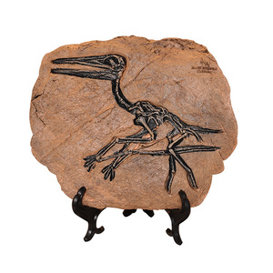 Adorno de Resina con Fósil de Dinosaurio Master Gu 7308A, Decoración para el Hogar, Regalo para Sala de Estar o Entrada - Product Image 5