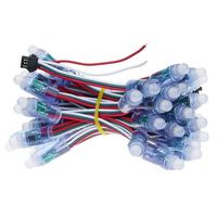 Vente flash Lumière LED numérique à pixels RGB 12 mm WS2811 Lumière LED à pixels pleine couleur Décorations lumineuses de Noël DC12V Extérieur Étanche